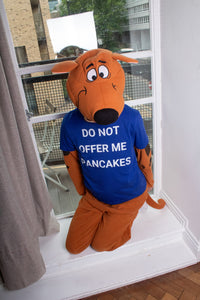 DO NOT OFFER ME PANCAKES